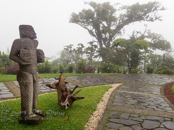 Villa Blanca Cloud Forest