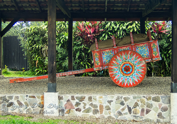 Sarchi-built Oxcart on Display