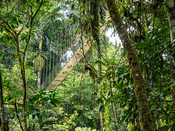 Hanging Bridge