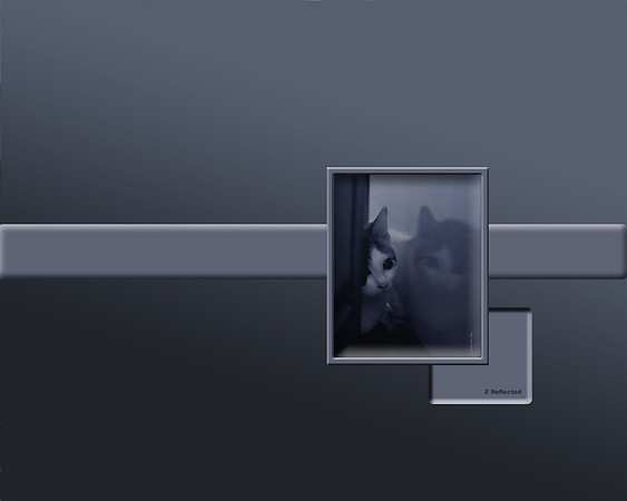 Desktop for my computer that I created with a photo I took of my cat and some Photoshop magic.  I call the image "Z Reflected".