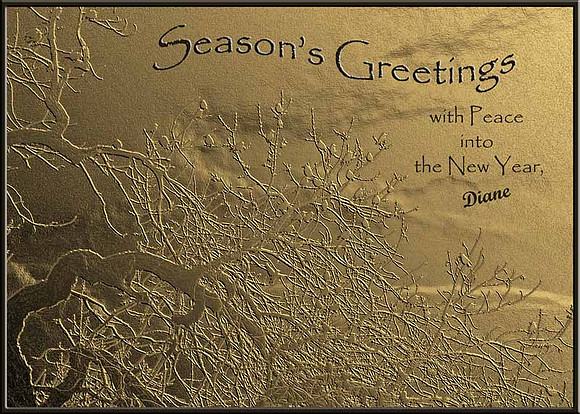 2007 - Based on photograph of blackbirds in a cottonwood tree, taken in Albuquerque, NM Dec. 8, 2007.