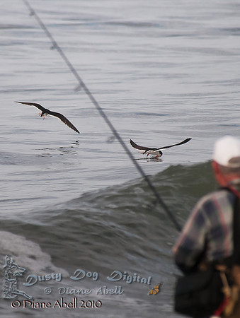 Fishing.....