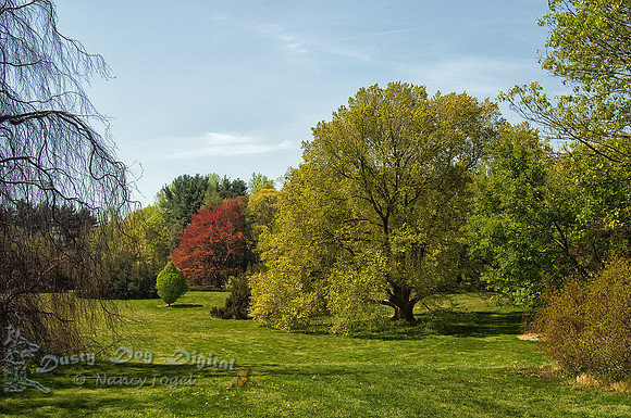 Planting Fields, Long Island, NY