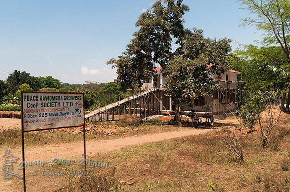 Peace Kawomera Coffee Coop,under construction