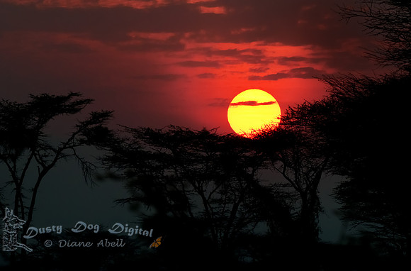 Uganda Sunrise