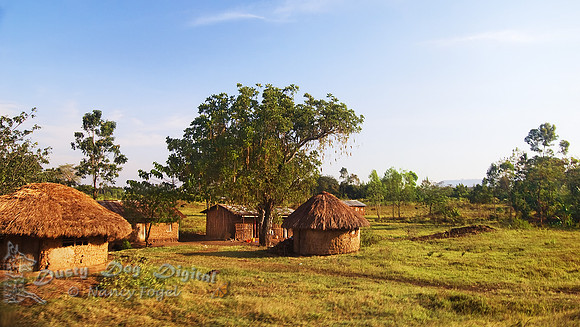 Dwellings along the Roadside on route to Mbale