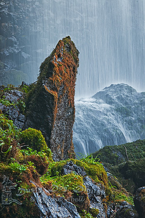 Rock and moss at the base of Sipi Falls, Uganda
