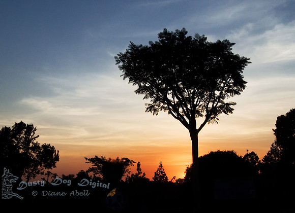 Uganda Sunset