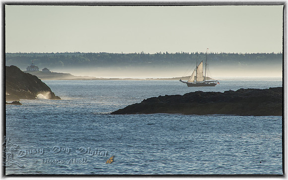 Entering Bar Harbor