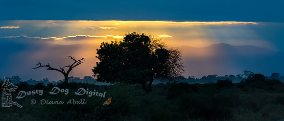 Sunset Over Amboseli