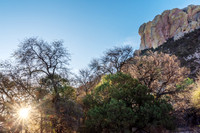 Chiricahua Sunrise