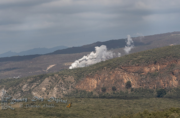 Steam leaking from the geothermal plant