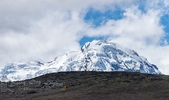 View of Snowy Mountain