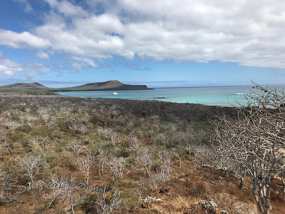 View of Floreana Island, from Baroness Viewpoint