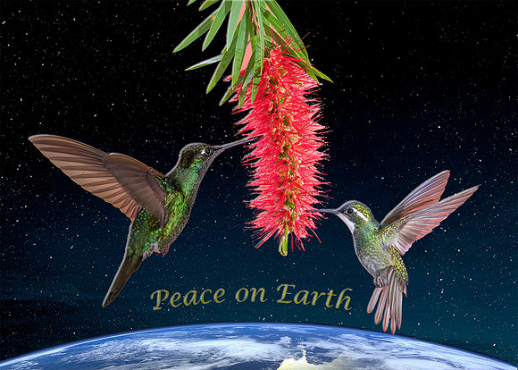 2021_Two-Hummers