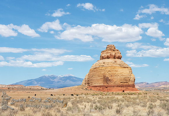 Roadside Driving to Colorado